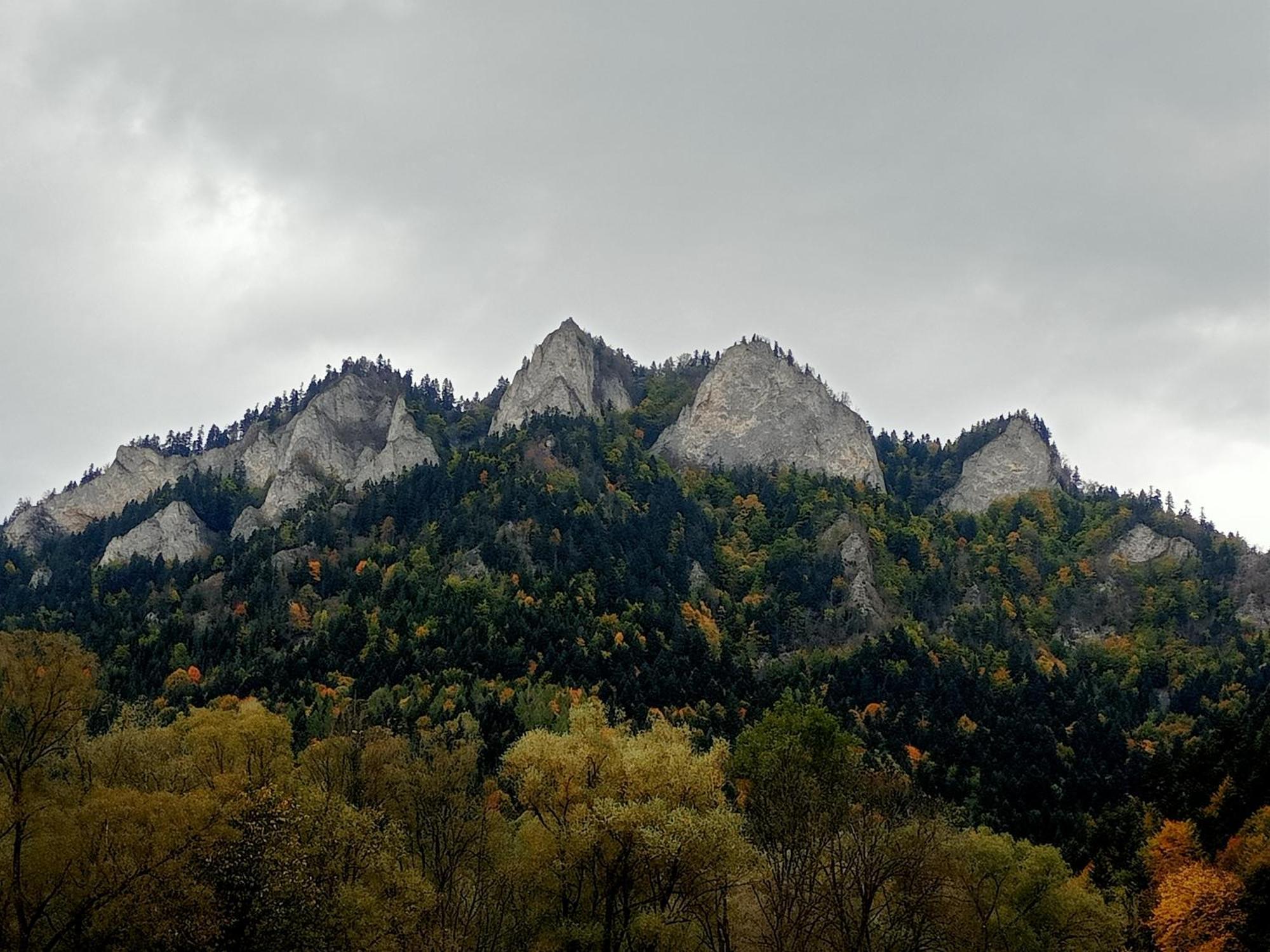 Hortensjowy Zakatek W Pieninach Sromowce Wyzne Dış mekan fotoğraf